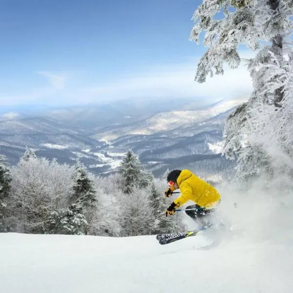Close to Everything Ski In and Out, ξενοδοχείο σε Snowshoe