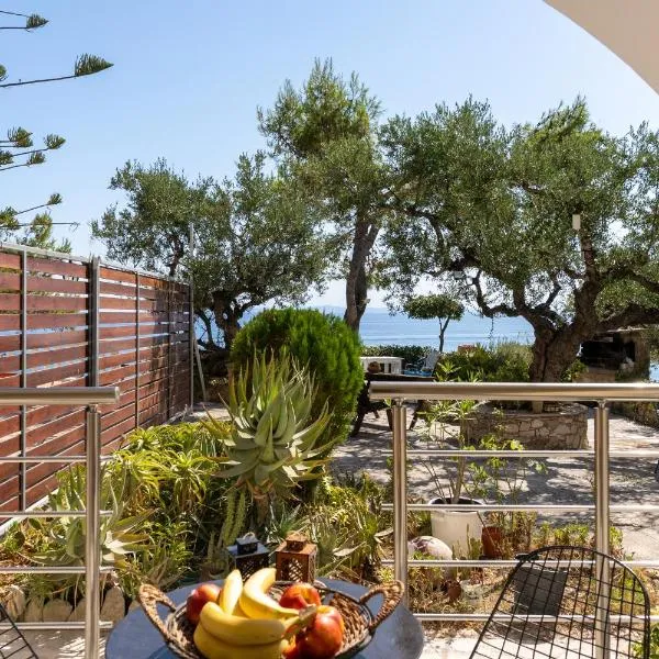 SkyBlue Horizon Studio 2、チィリヴィのホテル