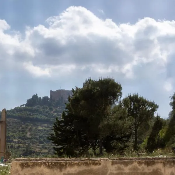 Blackbird Sanctuary homestay & Art Cafe, hotel v destinaci Ajloun