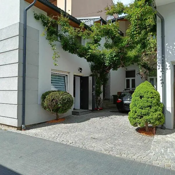 KIWI Apartament, hotel a Muszyna