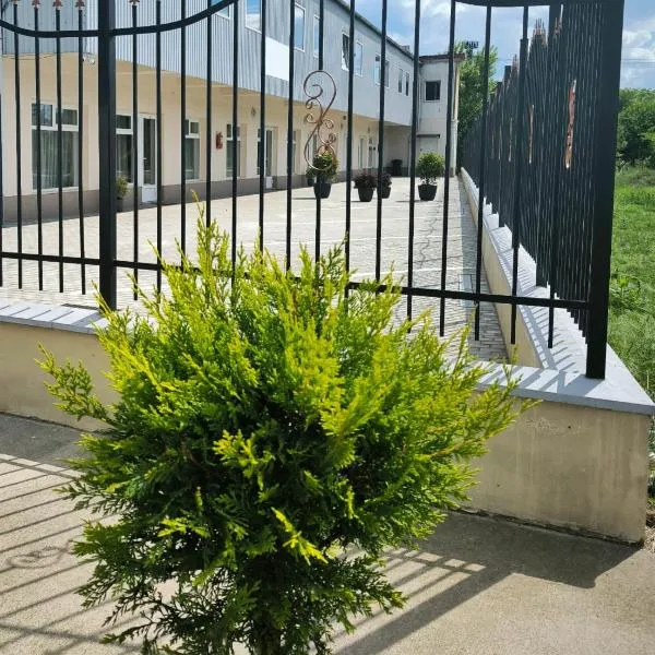 Adriana Touristik Hostel 3 Stele Arad, hotel in Arad