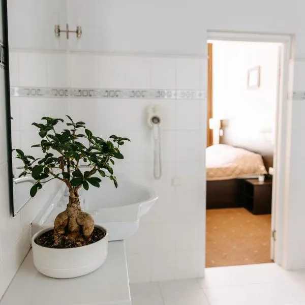 Summit Villa, khách sạn ở Chişinău