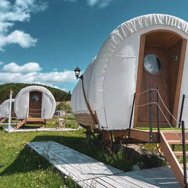 Glamping Spiritul Zimbrului, hotel in Vama Buzăului