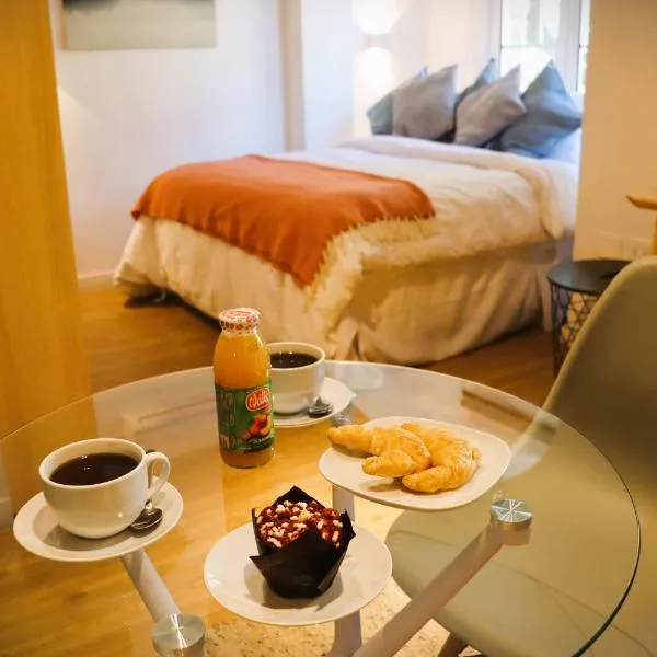 HOM I Departamento 2PAX AlA Barrio Lastarria, hotel in Santiago