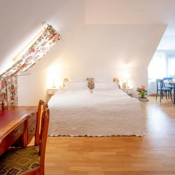 Marinela's BnB, ξενοδοχείο στη Βιέννη