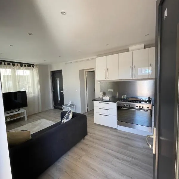 Apartment 1 confort&modern, hotel in Arad