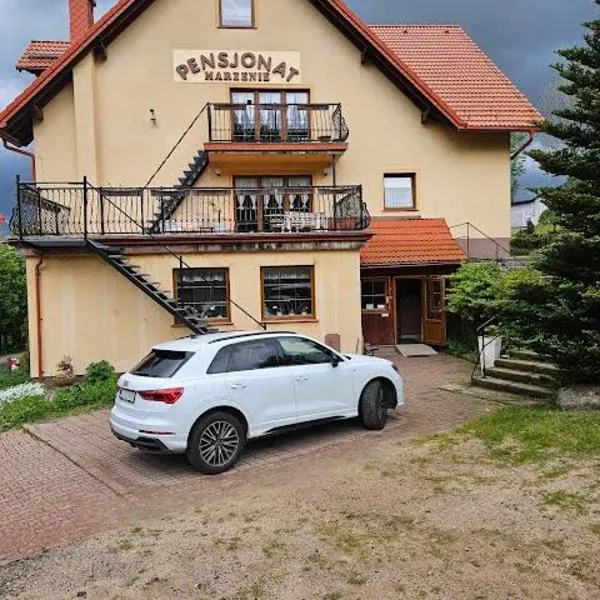 Pensjonat Marzenie、プシェシェカのホテル