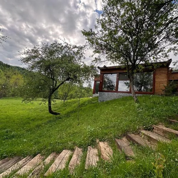 Biutiful Bungalow, hotel i Vişeu de Sus