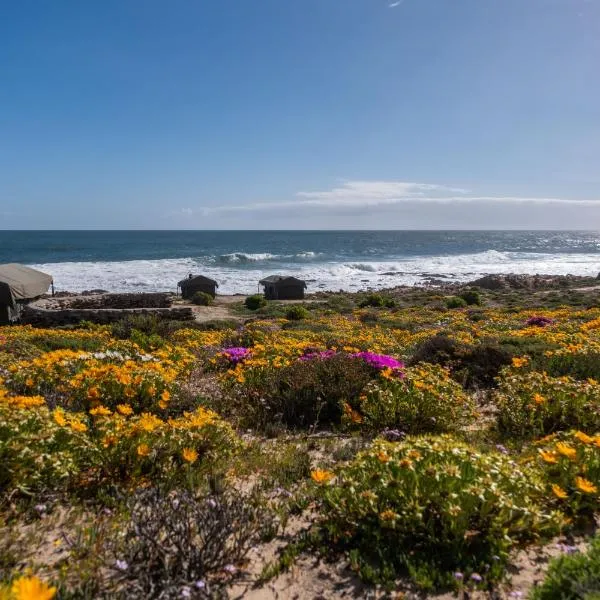 Namaqua Flowers Beach Camp: Strandfontein şehrinde bir otel
