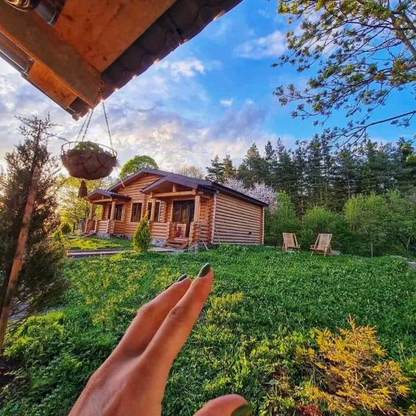 Kingswood Cabins Borjomi, hotel in Borjomi