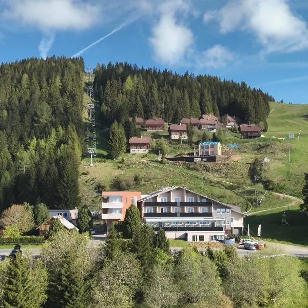 Hotel Alpengasthof Hochegger, hotel Klippitztorlban