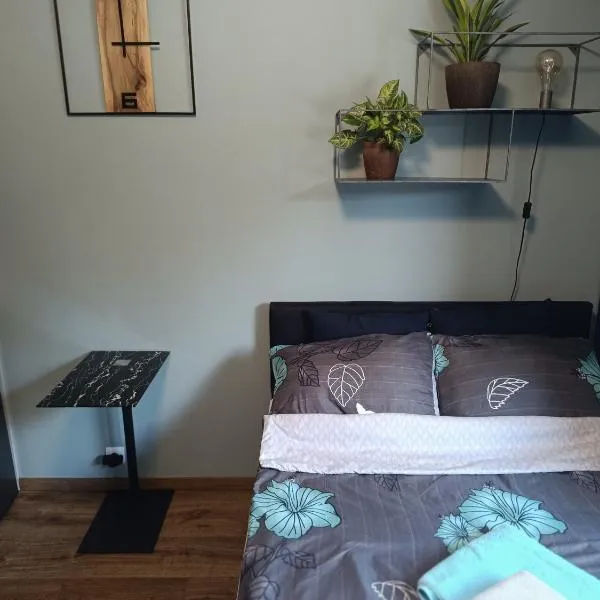 Apartament Magnolia, hotel in Warsaw