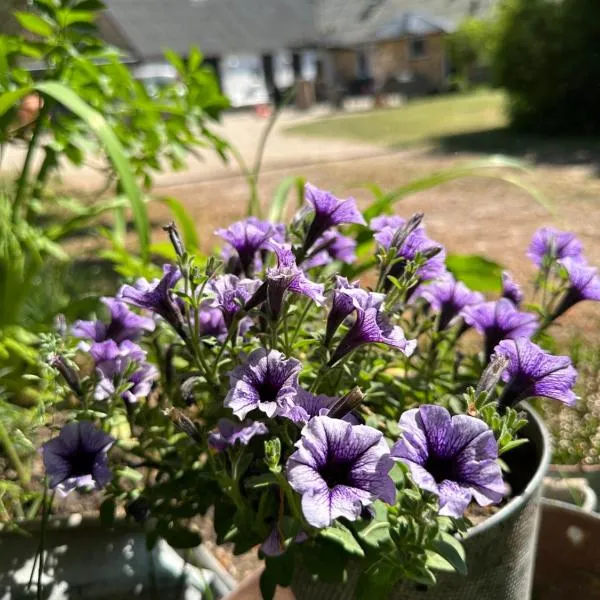 Skovbrynet 2 The place for you, hotel in Løkken