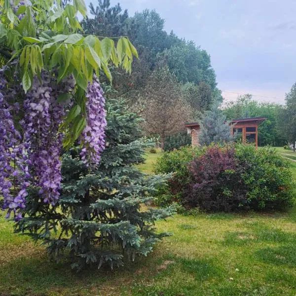 Gyömbér Tanya, hotel v destinaci Ásotthalom