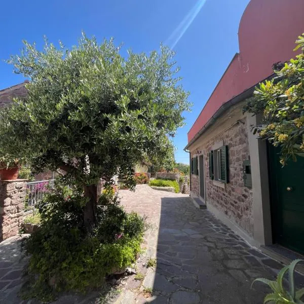 Casa vista Castello, hotel in Capraia