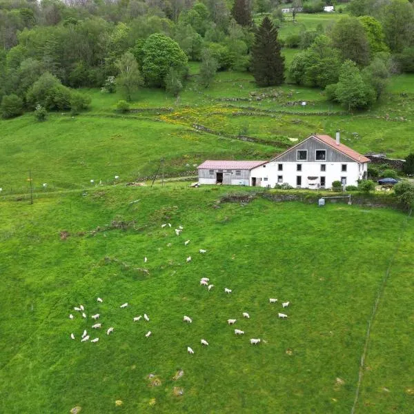 La Ferme sous les Hiez, Hotel in Cornimont