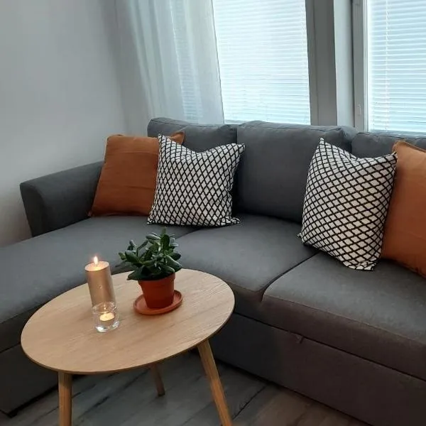 Lomayksiö C 2 Sotkamon keskustassa, hotel di Sotkamo
