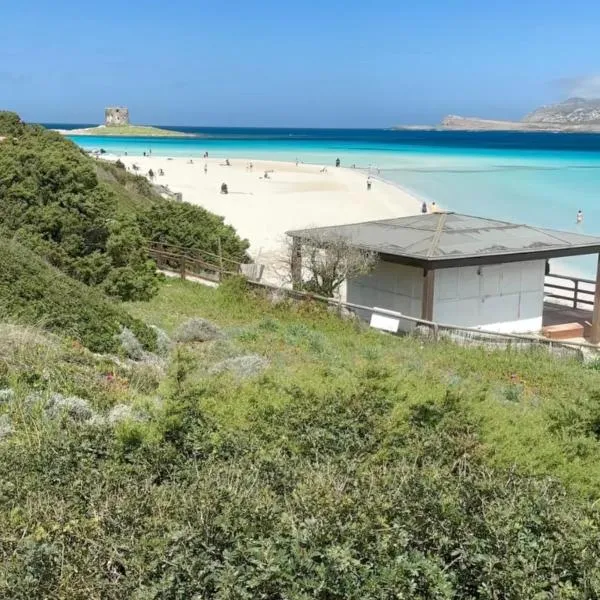 Casa vacanze Stintino vista mare, hotel di Stintino