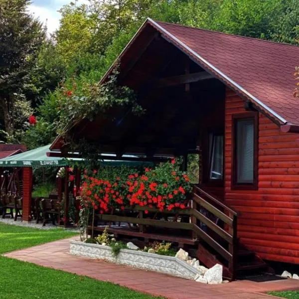 Case de vacanță Gabriel, hotel in Sovata