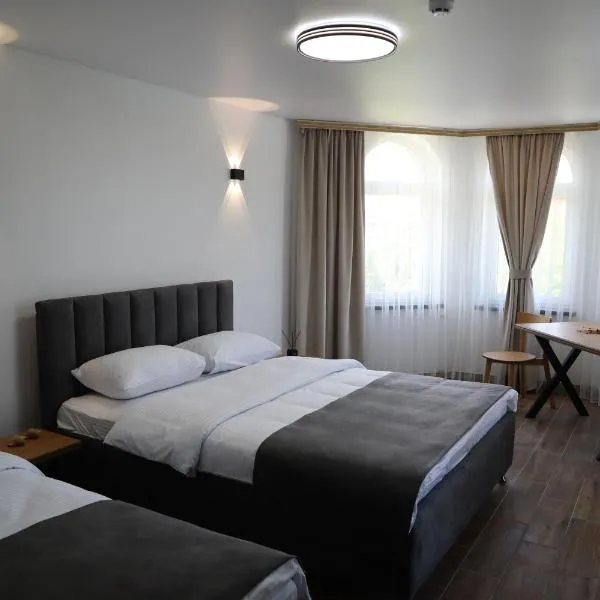 Aqua Hotel, hotel v destinaci Solotvina