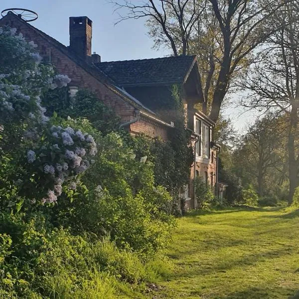 Ferienwohnung mit Elbblick, Hotel in Vietze