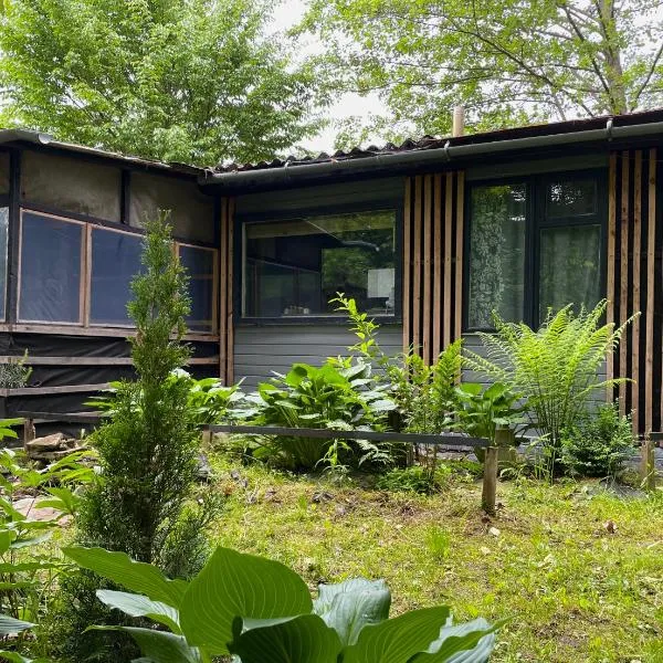 Scandinavia bungalow, hotel in Kamennaya Gora