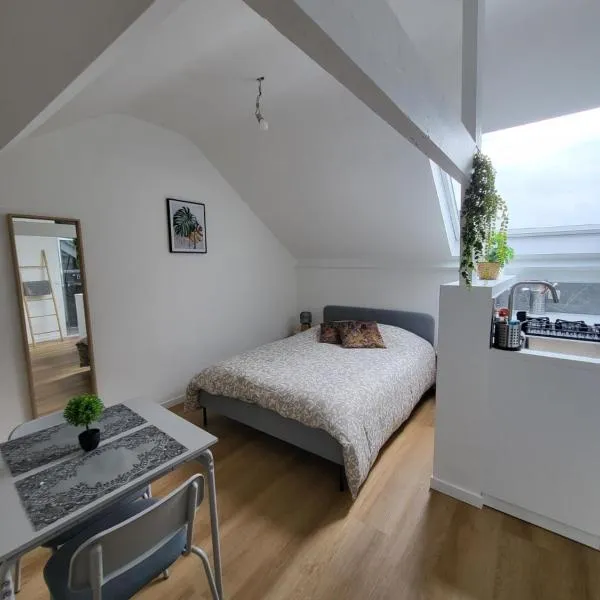 Studios idéalement situés - EU, hotel in Brussels