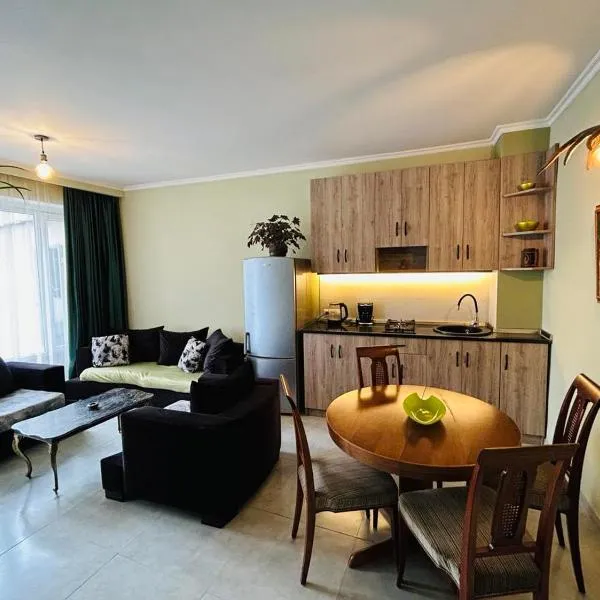 Gia's apartament，位于博尔若米的酒店