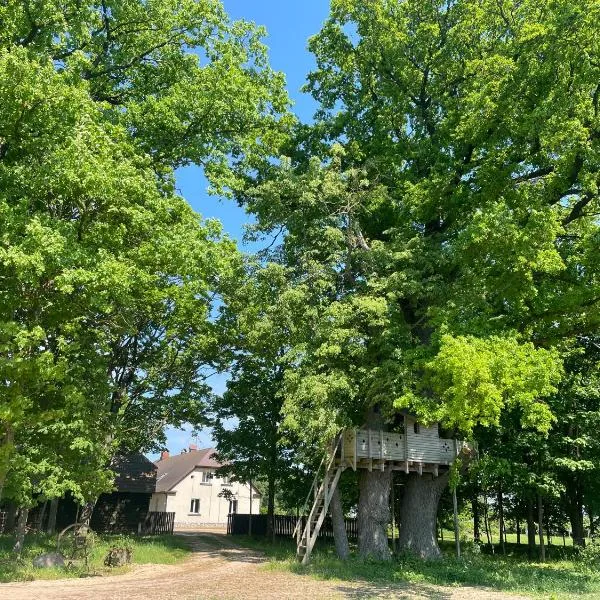 Viesu nams Vijas, hotel v destinaci Degumuiža