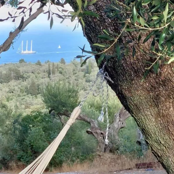 Casa Tereza, ξενοδοχείο σε Plátanos