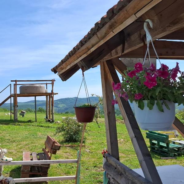 Apartmani Feliks, Resavica