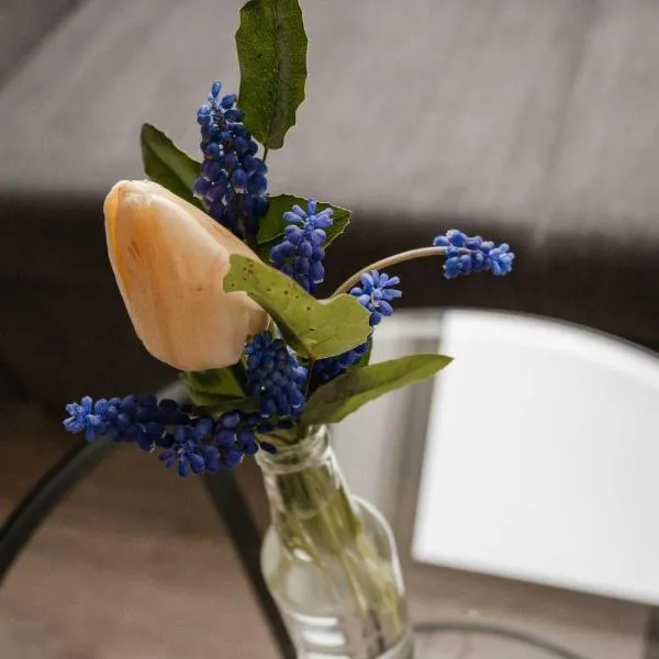 Farma Tasov, hotel ve Velkém Meziříčí