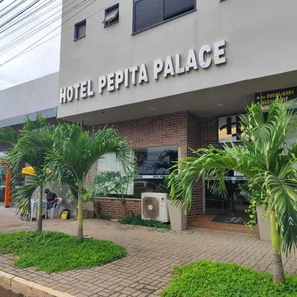 Hotel Pepita Palace, hotel sa Sinop