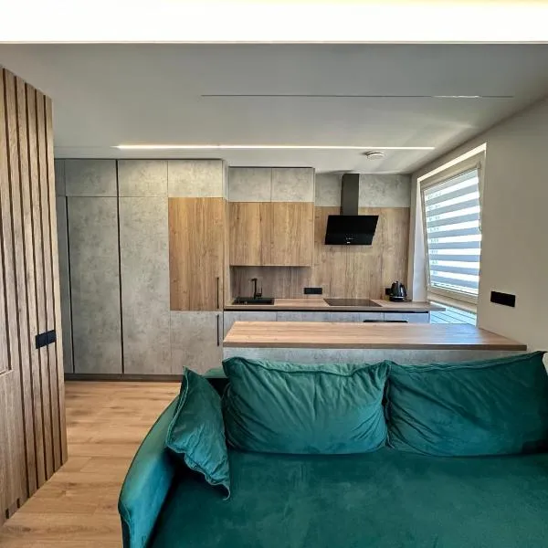 Budiniškiu apartamentai, hotel u gradu Viljnjus