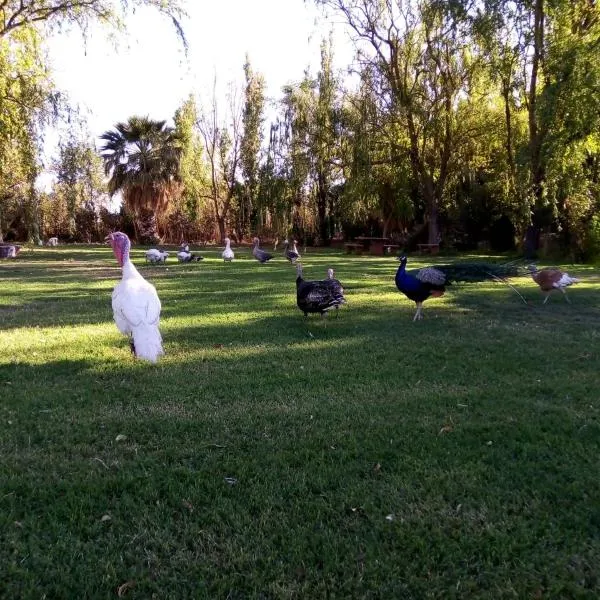 Cabaña de campo Secretos de la Naturaleza, hotell sihtkohas San Juan