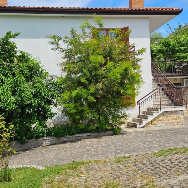 Apartment Laguna 30,31