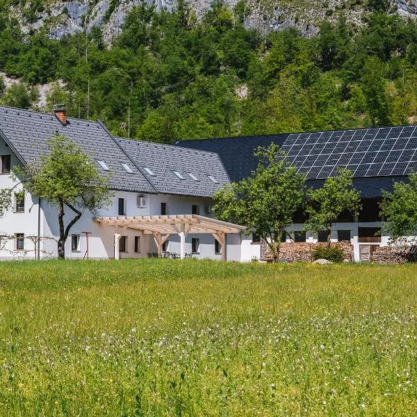 Domačija Log v Bohinju，位于班斯卡比斯特里察的酒店