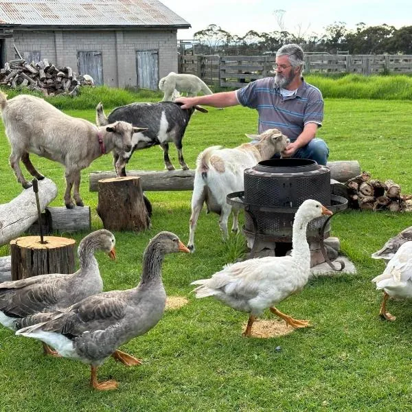 Bush Retreat Farm Stay 2 BR Guest Suite, hotel in Gelliondale