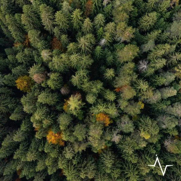 Placàt Eco Camping nel bosco, hotel in Bossico