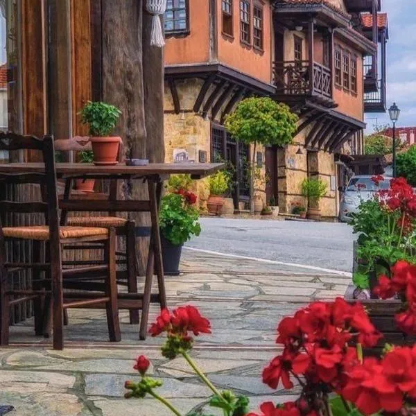 Aristotelous Alexandrou Historic Inn, hotel in Arnaia