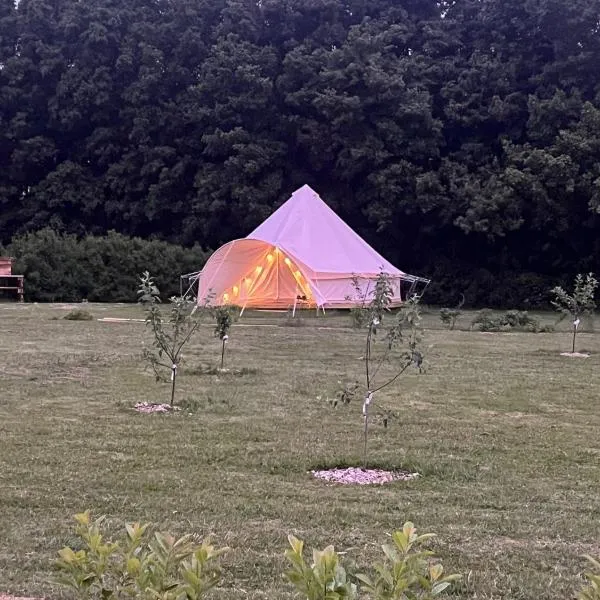 Langø Fjord Glamping nr 3，位于纳克斯考的酒店