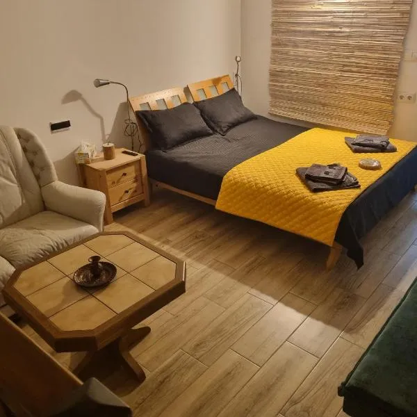 Ultracentral Garage studio, hotel in Bistriţa