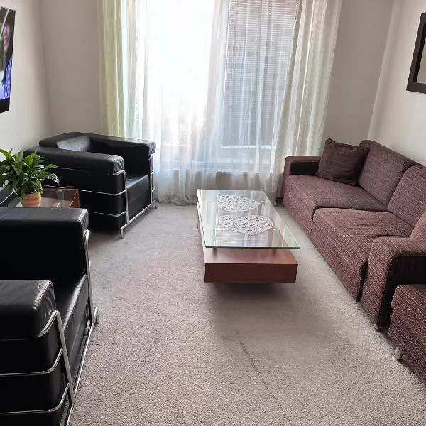 Old Town Apartments Zderadova 6、ブルノのホテル