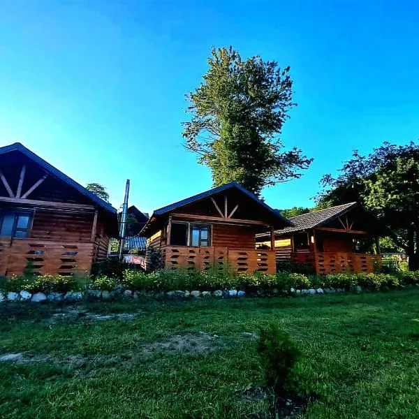 Căsuțele Camping AliMar, hotel in Tîrsa