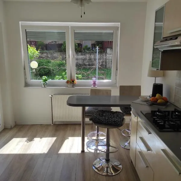 Apartman ZAGREB,REBRO,MAKSIMIR,CENTAR Marko, hotel in Zagreb