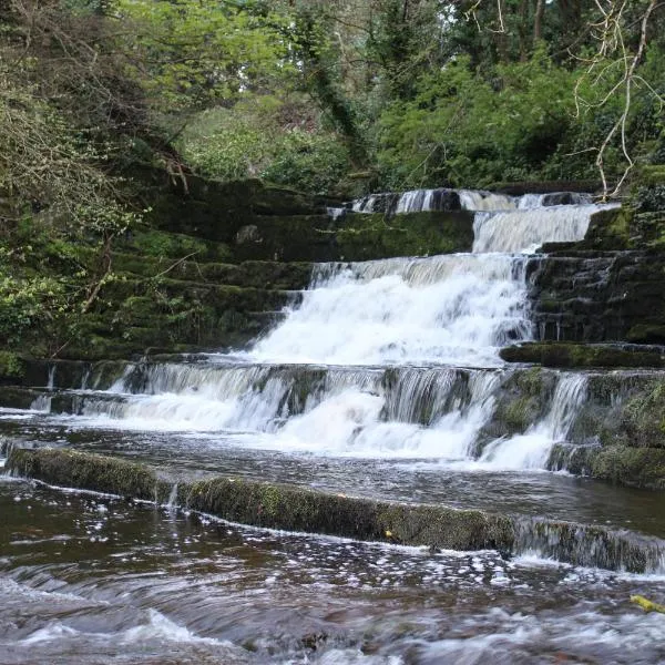 Dunneill River Rest, Hotel in Charlesfort