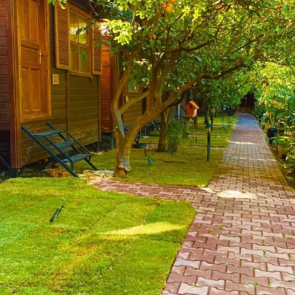 Olympos Varuna Pansiyon, hotel v destinaci Olympos