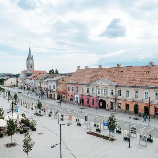 Central Nest，位于图尔达的酒店