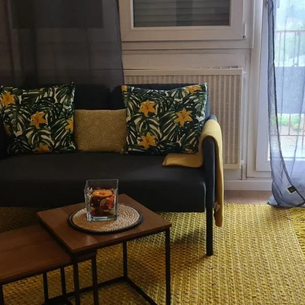 Studio KULLA avec terasse 5mn Basel Airport, hotel en Saint-Louis