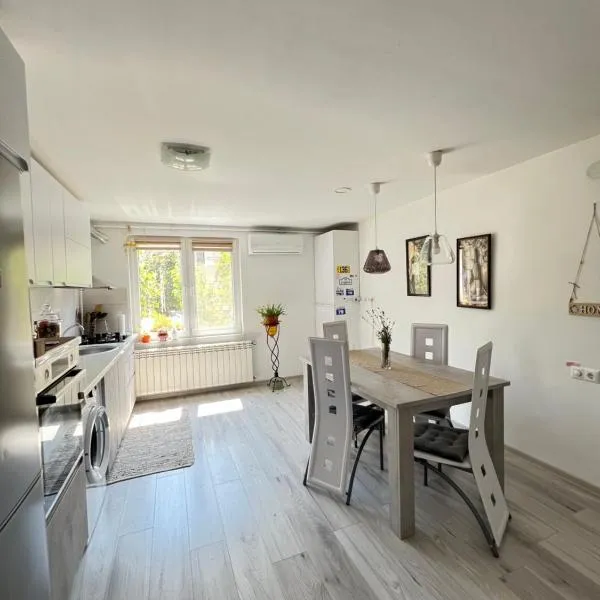 Ank's Apartment、Ocna Mureşのホテル